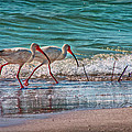 Beach Jogging in Twos