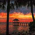 Bay Vista Point