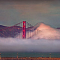 The Fog
