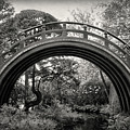The Moon Bridge B/W